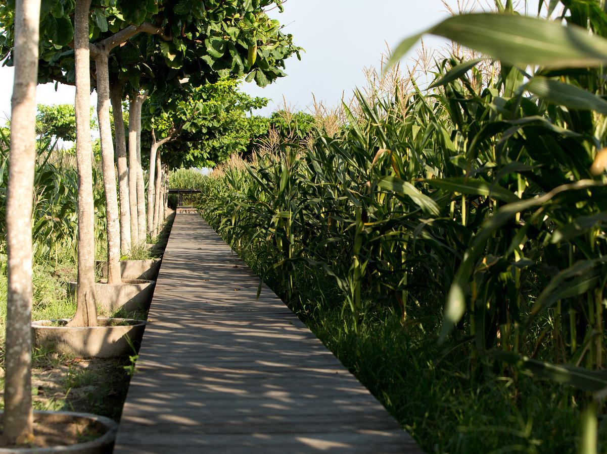 Sanur Residence Exteriér fotografie